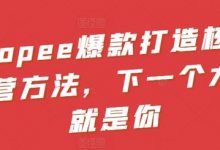 Shopee爆款打造核心运营方法，下一个大卖就是你-蜗牛学社