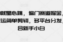 玩的就是心跳，偏门赛道掘金，视频搬运简单剪辑，多平台分发，适合新手小白-蜗牛学社