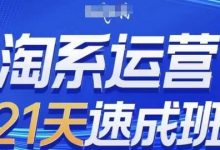 淘系运营21天速成班(更新24年5月)，0基础轻松搞定淘系运营，不做假把式-蜗牛学社
