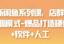 最新闲鱼系列课,店群无货源模式-爆品打造硬件+软件+人工-蜗牛学社