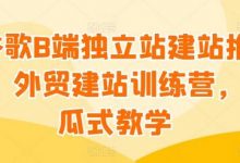 谷歌B端独立站建站推广，外贸建站训练营，傻瓜式教学-蜗牛学社