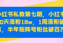 小红书私教第七期，小红书90天涨粉18w，1周涨粉破万，半年矩阵号粉丝破百万-蜗牛学社