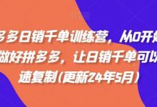 拼多多日销千单训练营，从0开始带你做好拼多多，让日销千单可以快速复制(更新24年5月)-蜗牛学社