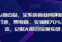 Ai终点站，全系统商业闭环矩阵打造，帮电商、实体降70%成本，12款Ai联合深度实战-蜗牛学社