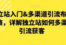 独立站入门&多渠道引流布局策略，详解独立站如何多渠道引流获客-蜗牛学社