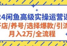 闲鱼高级实操运营课程：开店/养号/选择爆款/引流/月入2万/全流程-蜗牛学社