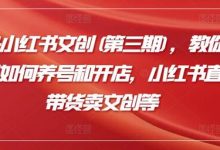 小红书文创(第三期),教你小红书如何养号和开店,小红书直播带货卖文创等-蜗牛学社