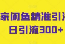 独家闲鱼精准引流，日引流300+-蜗牛学社