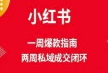 爆款小红书免费流量体系课程(两周变现)，小红书电商教程-蜗牛学社