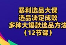 暴利选品大课：选品决定成败，教你多种大爆款选品方法(12节课)-蜗牛学社