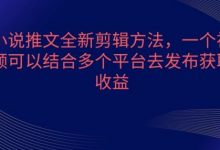 小说推文全新剪辑方法，一个视频可以结合多个平台去发布获取-蜗牛学社