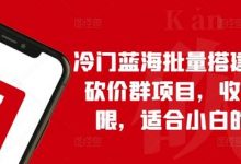 冷门蓝海批量搭建拼多多砍价群项目，收益无上限，适合小白的风口-蜗牛学社