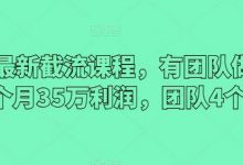 最新截流课程，有团队做截流一个月35万利润，团队4个人-蜗牛学社