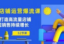 淘宝店铺运营爆流课：助你打造高流量店铺，实现销售持续增长(52节课)-蜗牛学社