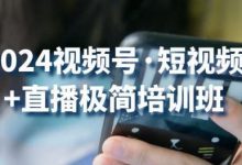 视频号·短视频+直播极简培训班:抓住视频号风口,流量红利-蜗牛学社