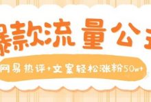 爆款流量公式，网易热评+文案轻松涨粉50w+-蜗牛学社