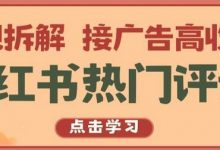 小红书热门评论，变现拆解，接广告高收入-蜗牛学社