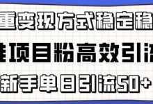 精准项目粉高效引流术，新手单日引流50+，多重变现方式稳定赚钱-蜗牛学社