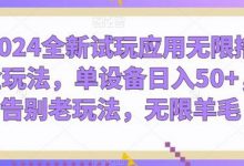 全新试玩应用无限撸金玩法，单设备日入50+，告别老玩法，无限羊毛-蜗牛学社