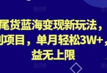 外贸尾货蓝海变现新玩法，冷门暴利项目，单月轻松3W+，收益无上限-蜗牛学社