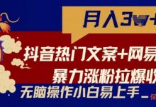 抖音热门文案+网易云截图暴力涨粉拉爆收益玩法，小白无脑操作，简单易上手-蜗牛学社