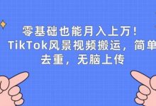 零基础也能月入上w，TikTok风景视频搬运，简单去重，无脑上传-蜗牛学社