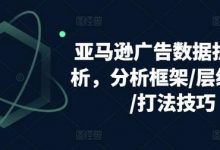 亚马逊广告数据拆解分析，分析框架/层级优化/打法技巧-蜗牛学社