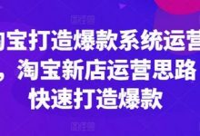 淘宝打造爆款系统运营课,淘宝新店运营思路,快速打造爆款-蜗牛学社