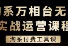 淘系万相台无界实战运营课，淘系付费工具课-蜗牛学社