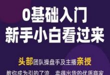 年新媒体流量变现运营笔记，教你成为引的了流，卖得出货的优质商家-蜗牛学社