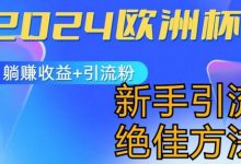 欧洲杯风口的玩法及实现收益躺赚+引流粉丝的方法，新手小白绝佳项目-蜗牛学社