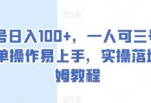 单号日入100+，一人可三号，简单操作易上手，实操落地保姆教程-蜗牛学社