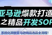 【训练营】亚马逊爆款打造之精品开发SOP，系统化洞察亚马逊精品选品全流程-蜗牛学社