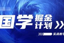 国学掘金计划实战教学视频教学，高复购项目长久项目-蜗牛学社