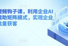 企业短视频钩子课，利用企业AI工具，借助矩阵模式，实现企业短视频批量获客-蜗牛学社