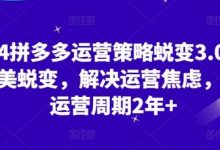 拼多多运营策略蜕变3.0，0-1完美蜕变，解决运营焦虑，缩短运营周期2年+-蜗牛学社