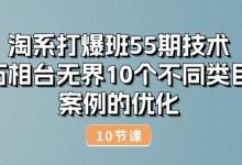 淘系打爆班55期技术：万相台无界10个不同类目案例的优化(10节)-蜗牛学社
