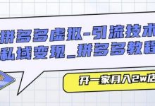 拼多多虚拟-引流技术与私域变现_拼多多教程：开一家月入2w店铺-蜗牛学社
