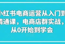 小红书电商运营从入门到精通课，电商店群实战，从0开始到学会-蜗牛学社