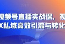 21天视频号直播实战课，视频号X私域高效引流与转化-蜗牛学社