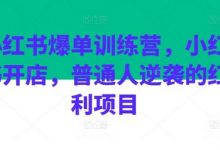 小红书爆单训练营，小红书开店，普通人逆袭的红利项目-蜗牛学社