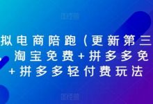 虚拟电商陪跑(更新第三期)，淘宝免费+拼多多免费+拼多多轻付费玩法-蜗牛学社