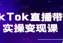 TikTok直播带货实操变现课：系统起号、科学复盘、变现链路、直播配置、小店操作流程、团队搭建等-蜗牛学社