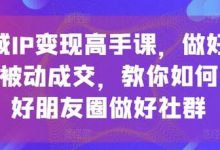 私域IP变现高手课，做好私域，被动成交，教你如何打造好朋友圈做好社群-蜗牛学社