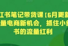 小红书笔记带货课【6月更新】流量电商新机会，抓住小红书的流量红利-蜗牛学社