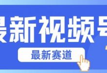 视频号全新赛道，碾压市面普通的混剪技术，内容原创度高，小白也能学会-蜗牛学社