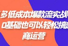 拼多多低成本爆款流实战私教课，0基础也可以轻松搞定电商运营-蜗牛学社