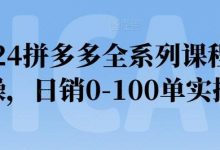拼多多全系列课程实操,日销0-100单实操【必看】-蜗牛学社