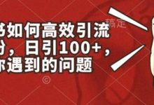 小红书如何高效引流创业粉，日引100+，解决你遇到的问题-蜗牛学社