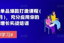 拼多多单品爆款打造课程(更新6月)，充分应用你的流量，增长实战培训-蜗牛学社